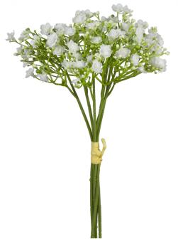 Schleierkraut weiß großblumig