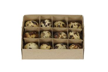 Preview: Wachteleier 12er Set