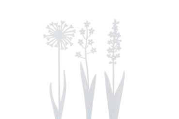 weiße Blumen 3er Set