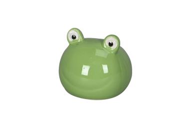 Schwimmfrosch XL