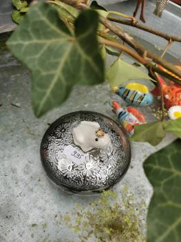 Preview: Schwimmlinse mit Froschkönig