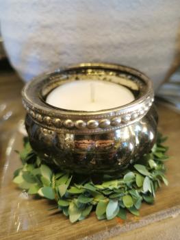 Preview: Buchsbaumring