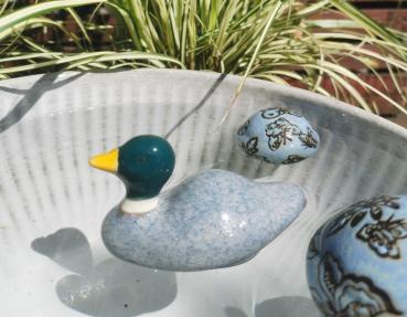 Schwimmente grau klein