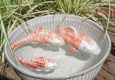 Preview: Schwimmfisch Koy mit schwarzen Punkten