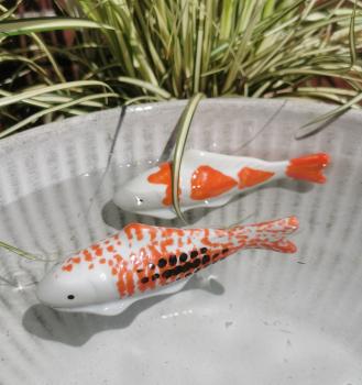 Schwimmfisch Koy mit schwarzen Punkten