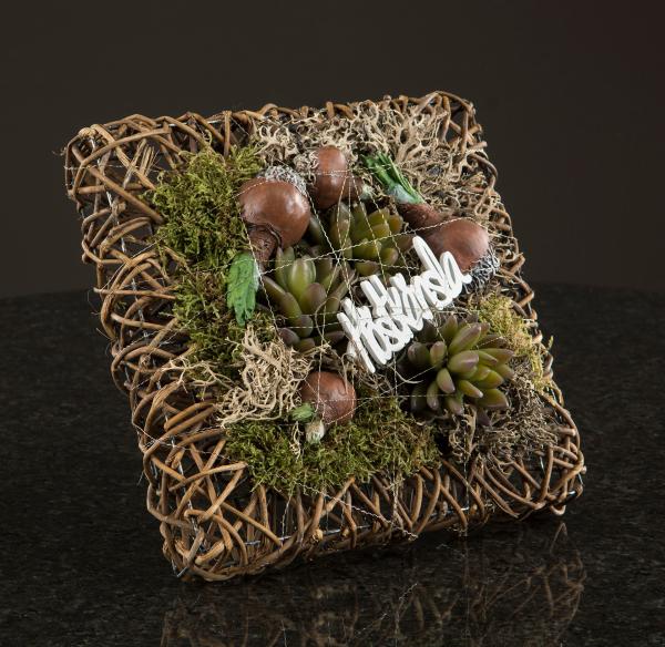 Frühlingszwiebel zum Stecken