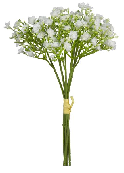 Schleierkraut weiß großblumig