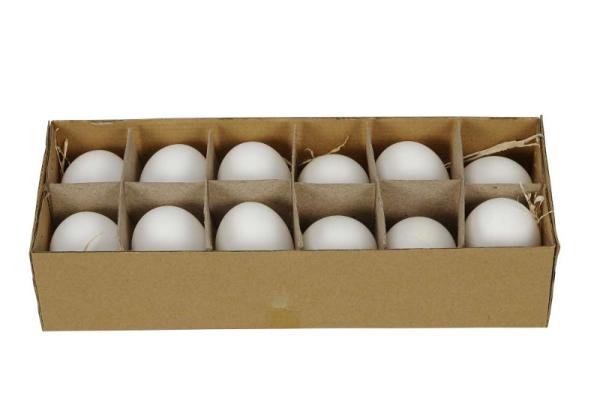 Hühnereier 12er Set