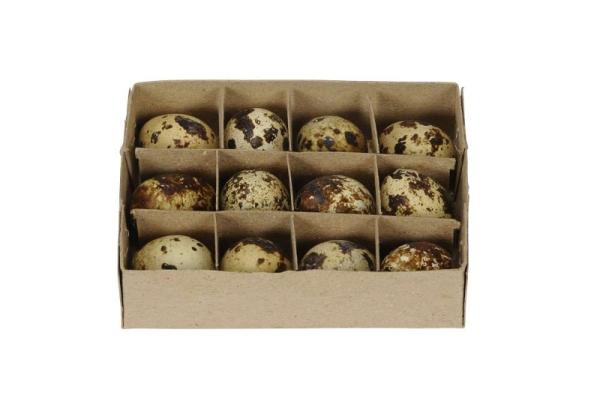 Wachteleier 12er Set