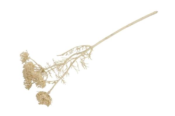 Wilde Möhre Kunstzweig