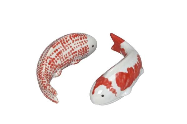 Schwimmkoy groß 2er Set