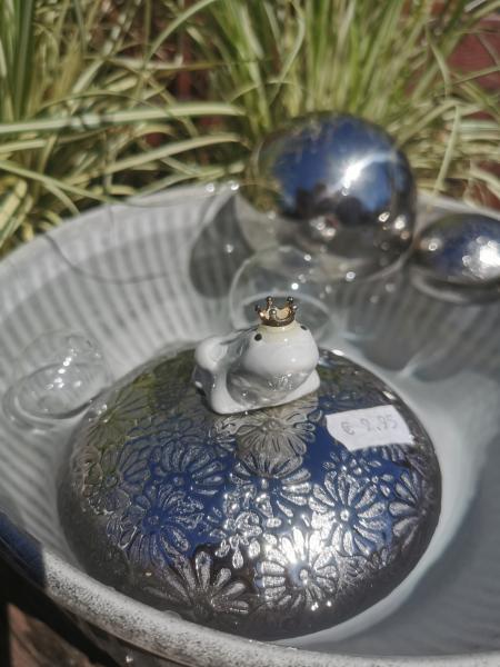 Schwimmlinse mit Froschkönig