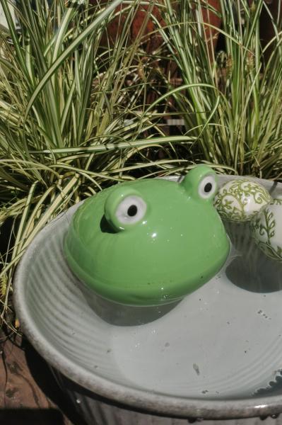 Schwimmfrosch XXL