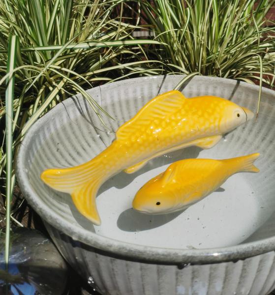 kleiner Schwimmfisch gelb