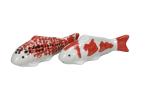 Schwimmfisch Koy mit schwarzen Punkten